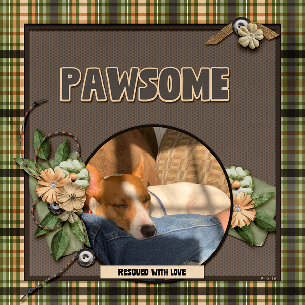 Pawsome
