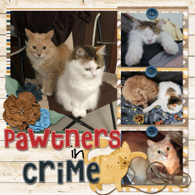 Pawtners in Crime