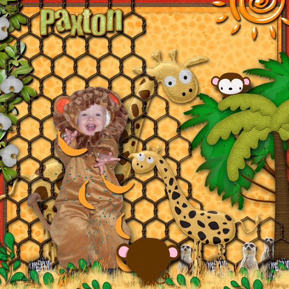 Paxton the Lion