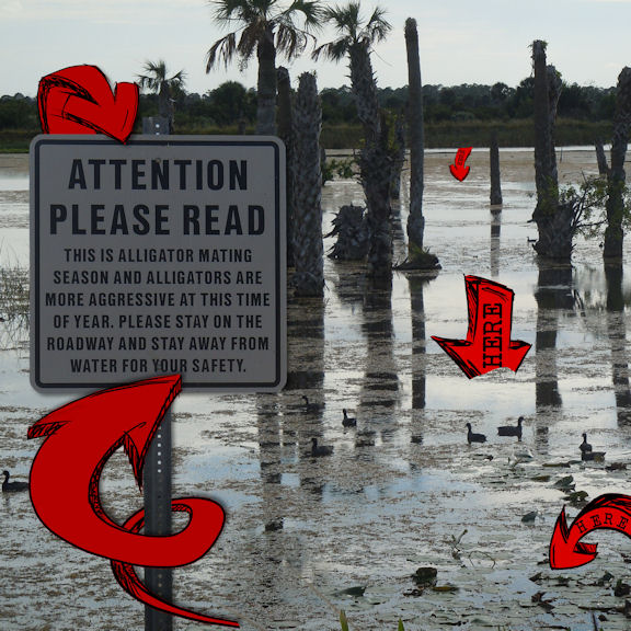 Pay Attention