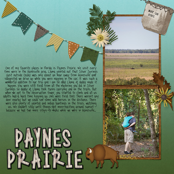 Paynes Prairie
