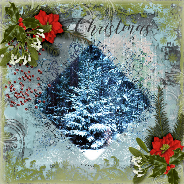 pbs_ChristmasHug2_Pia