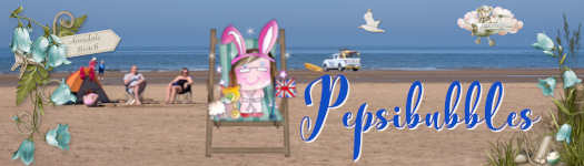 PBSiggyAug2025.jpg