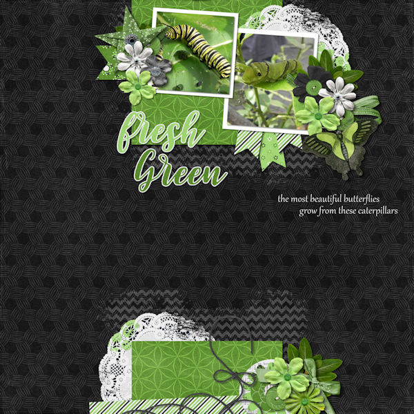 PC Green Apple