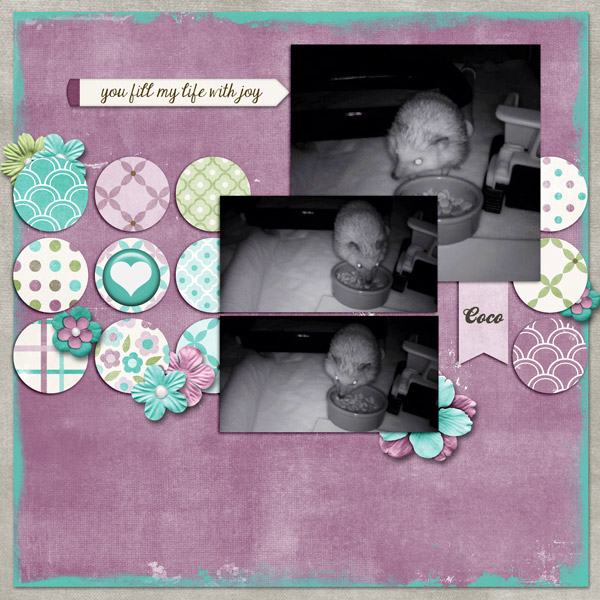pdc_owd_coco9-2012