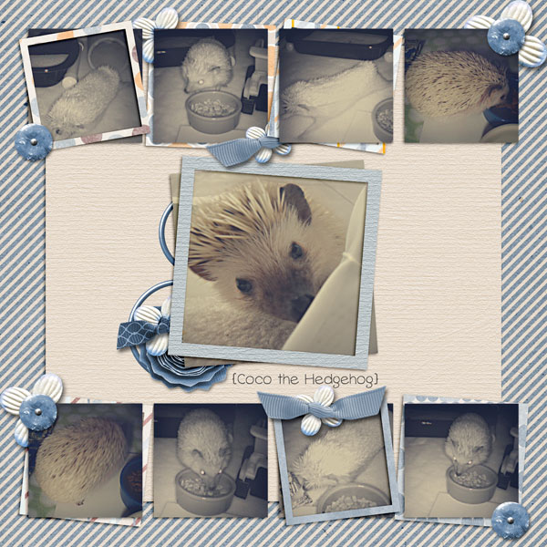 pdc_owd_seachartsv12_onemoment