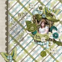 pdc_owd_wishlist-1