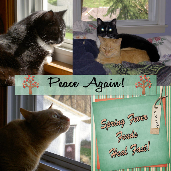Peace Again