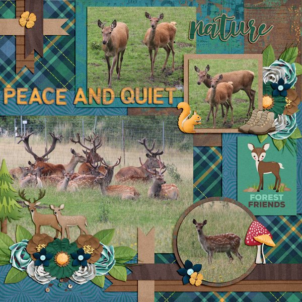peace and quiet