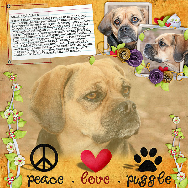 Peace Love Puggle