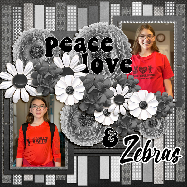 Peace Love + Zebras