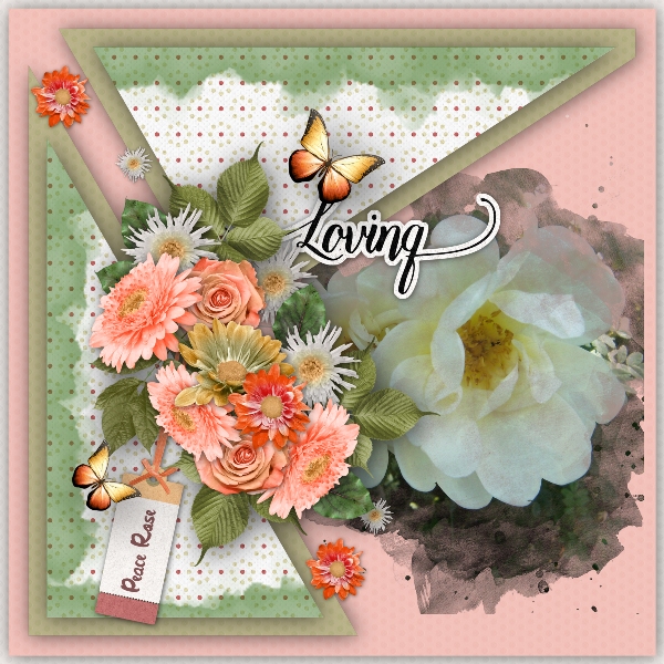 peace_rose