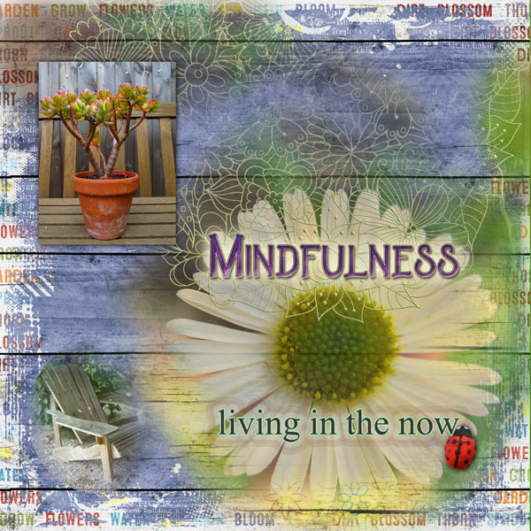 Peaceful Contemplation
