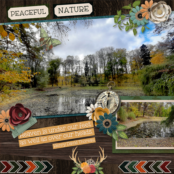 Peaceful Nature