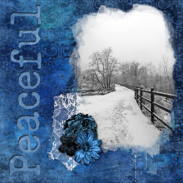 Peaceful Winter Walk