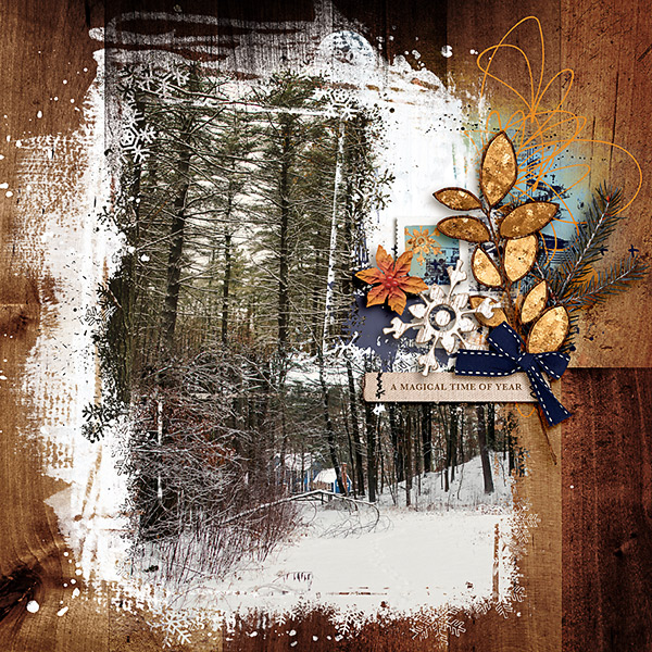 Peaceful Woods