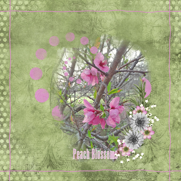 Peach Blossoms