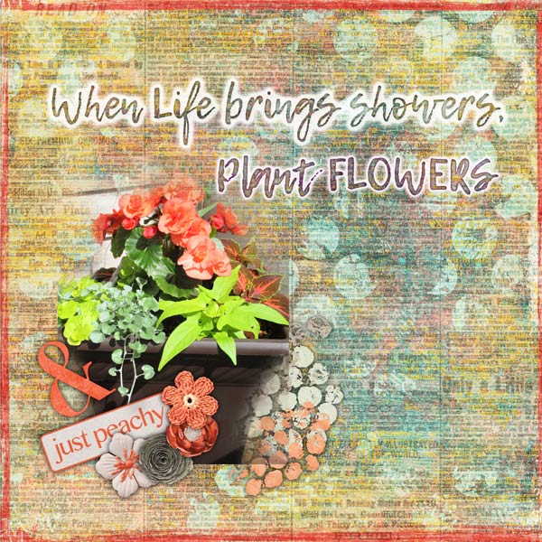 Peach Flowers and Lime Leaves