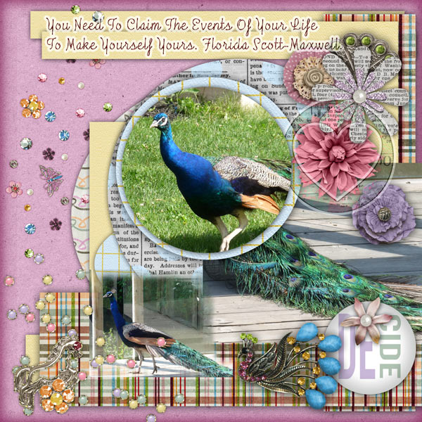 Peacock Beauty