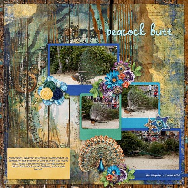 Peacock Butt