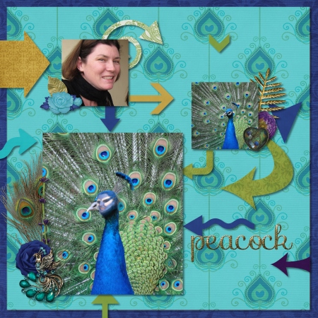 Peacock make-over