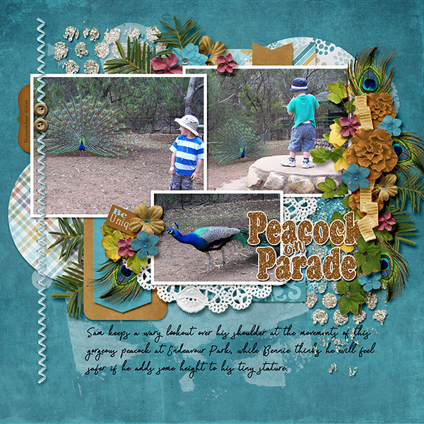 Peacock on Parade