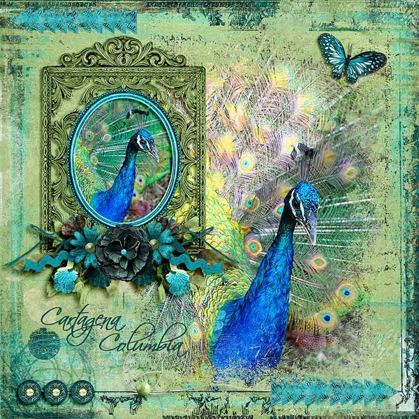 peacock