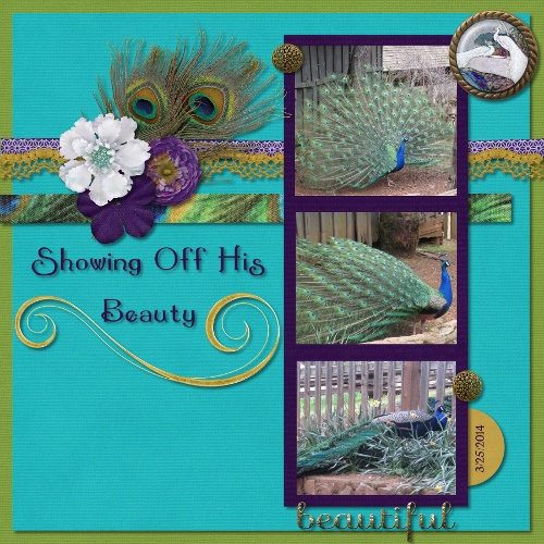 Peacock