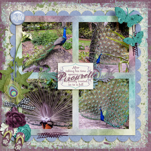 Peacock