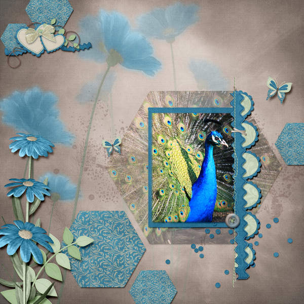 Peacock