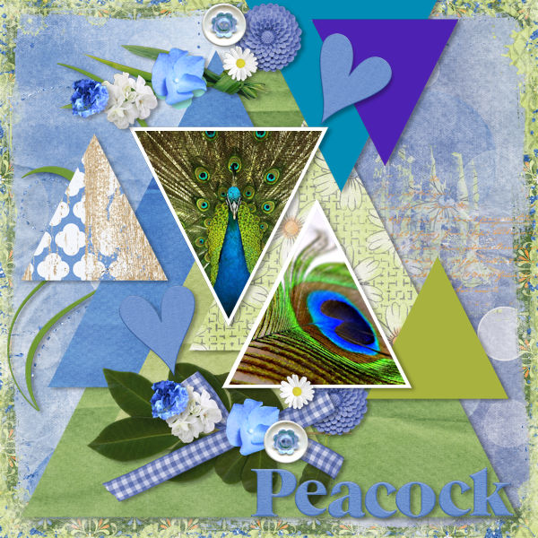 Peacock