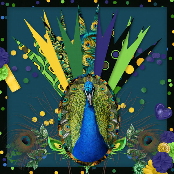 Peacock