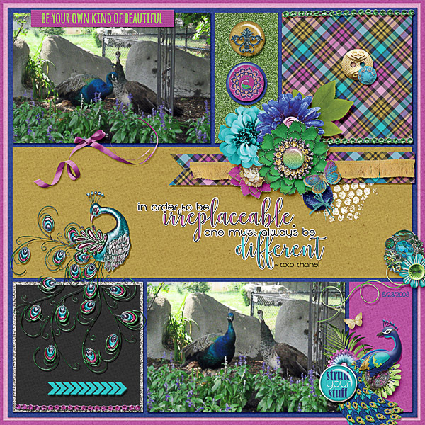 Peacocks at the Zoo
