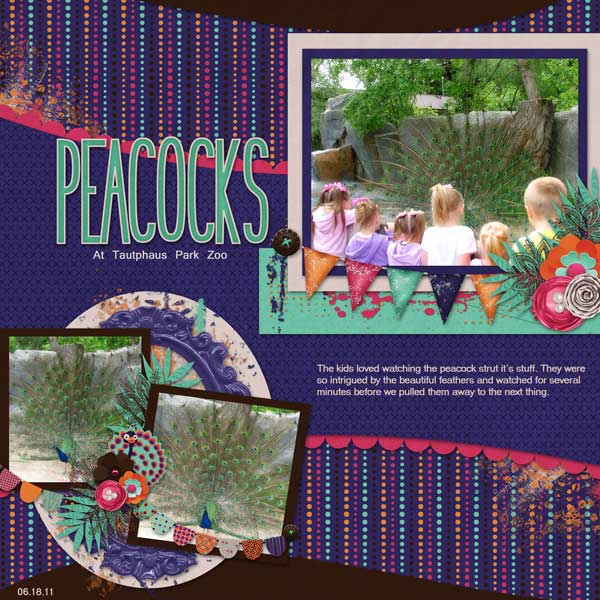 Peacocks at Zoo