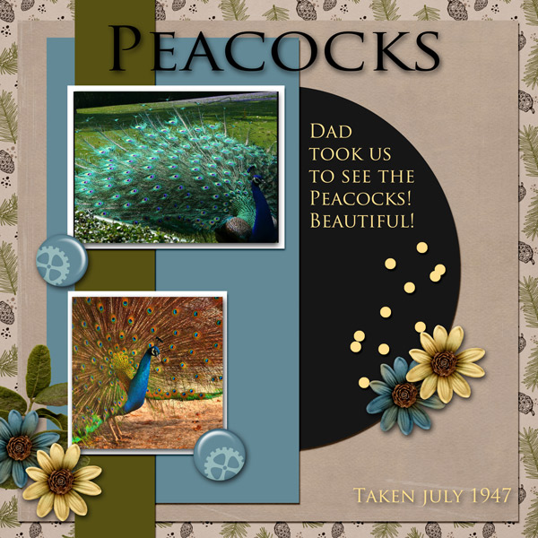 Peacocks