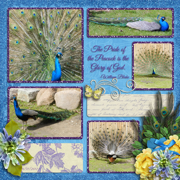 Peacocks