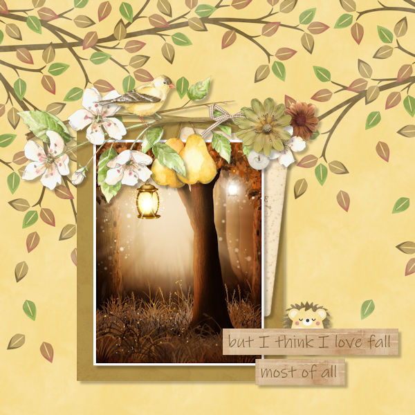 Pear Blossom