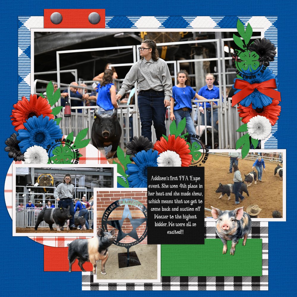 Pearland Expo