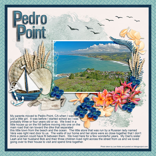 PEDRO POINT 1