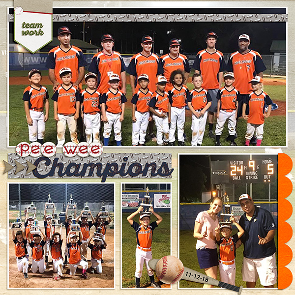 PEE WEE Champions- Fall 2018
