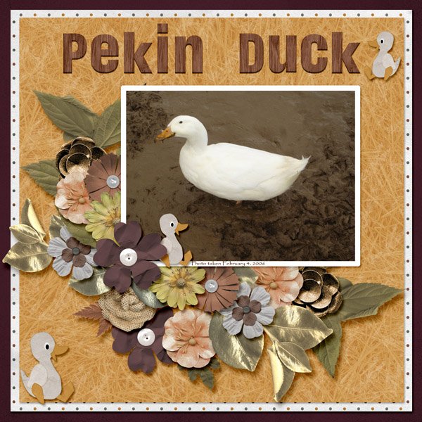 Pekin Duck small.jpg
