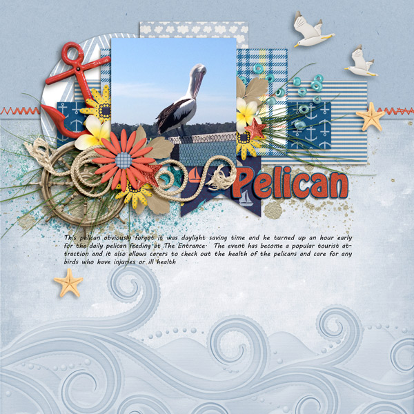 Pelican