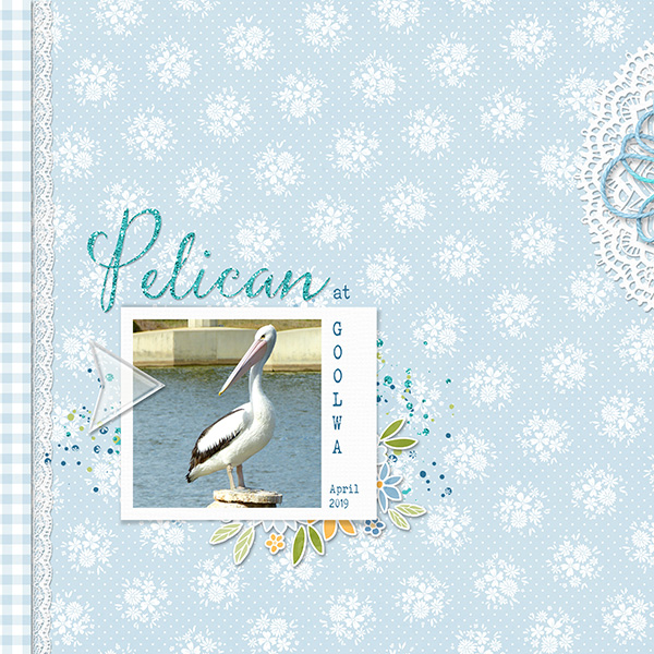 Pelican