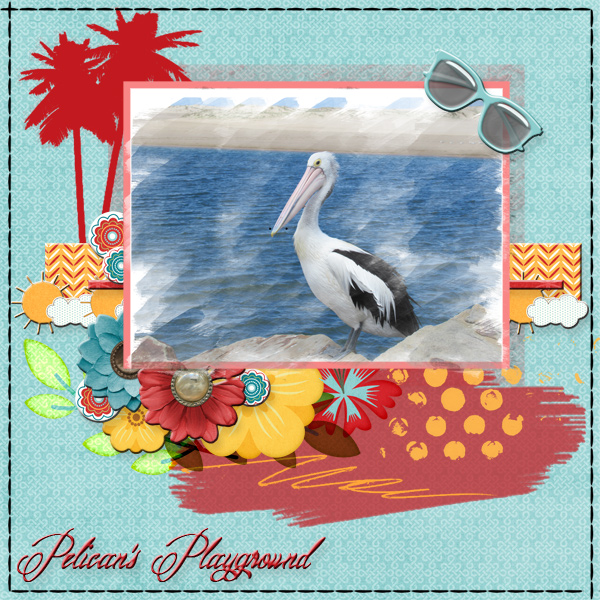 Pelican