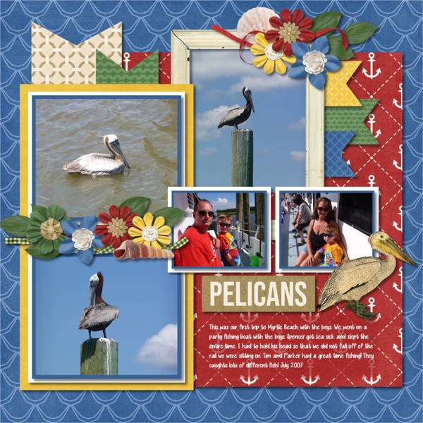 Pelicans