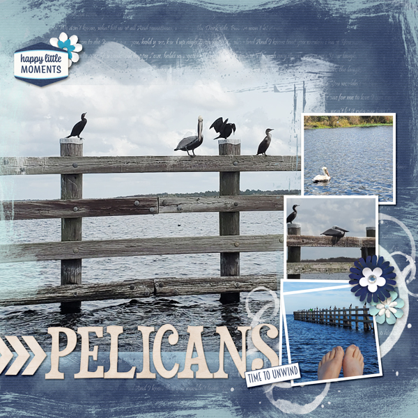 pelicans