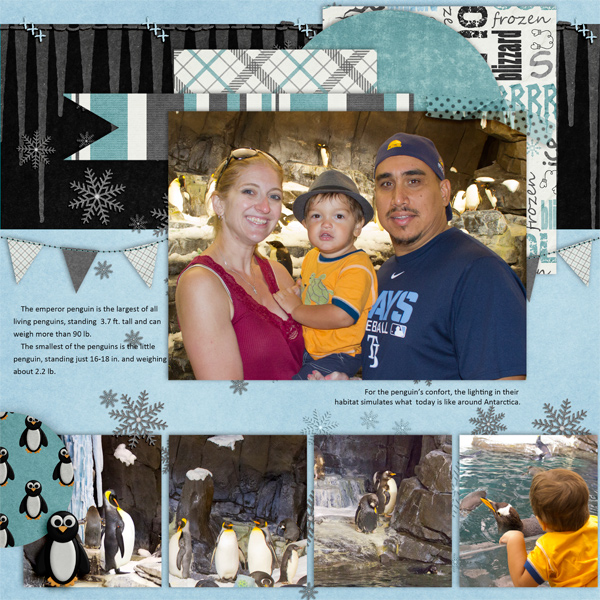 @Penguin Encounter