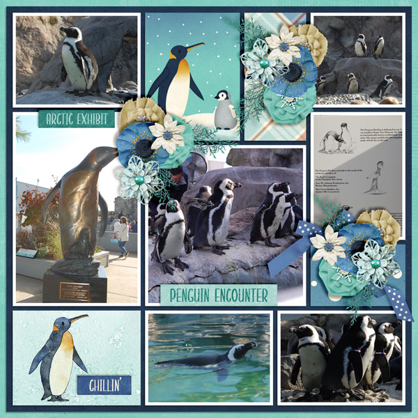 Penguin-Encounter