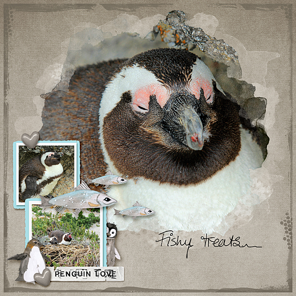 Penguin Love