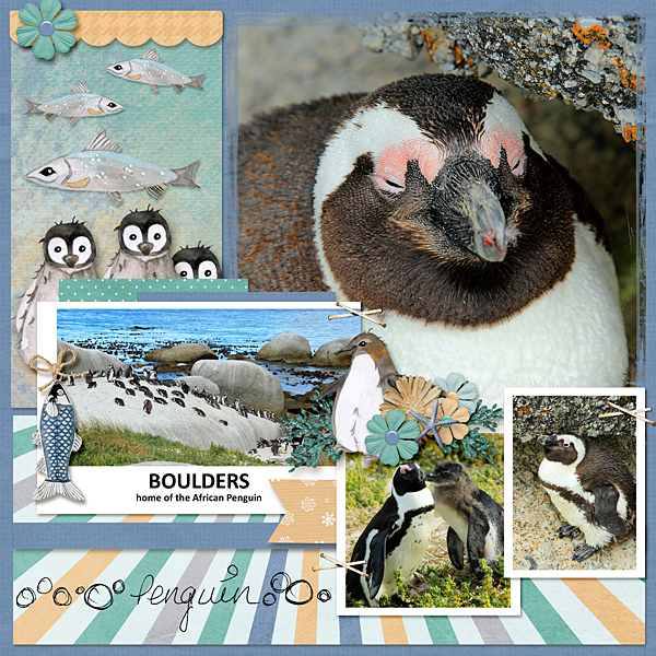 Penguin Love